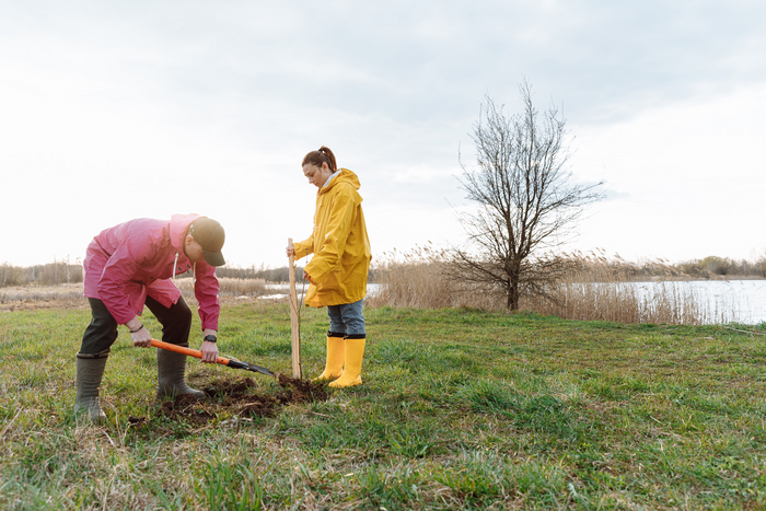 How to Test Your Soil for Lead: A Practical Guide for Homeowners and Parents