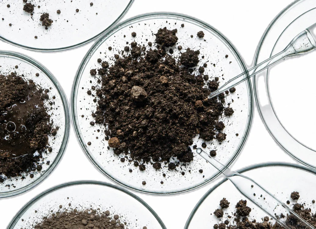 Soil samples in petri dishes with droppers, showing dirt testing for metals and contaminants